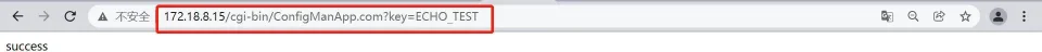Erfolgreiches Echo-Selbsttest-Ergebnis im Browser