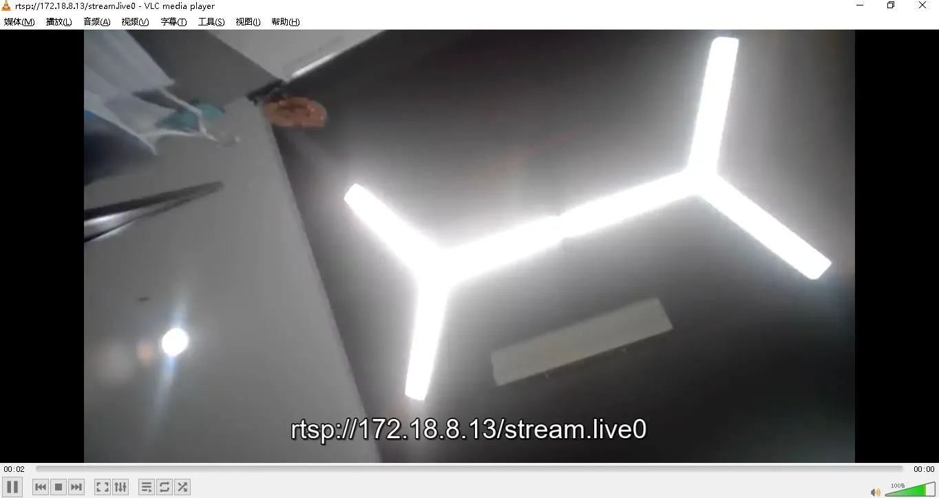 Video abspielen