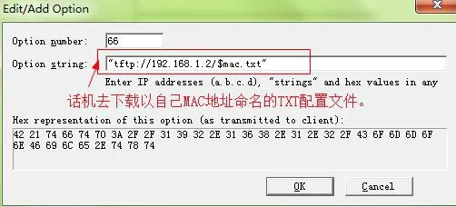 Neue DHCP option hinzufügen