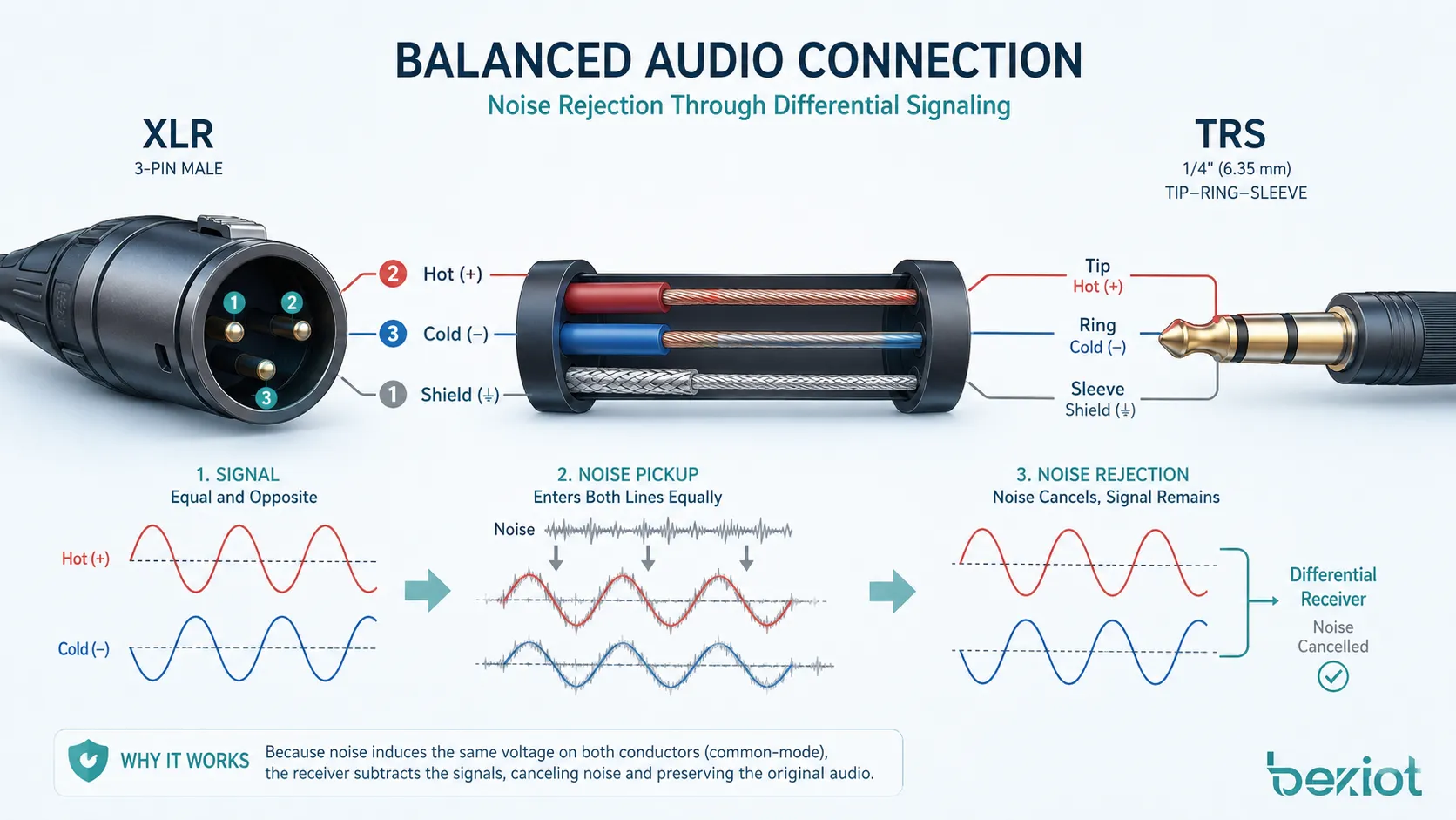 Diagramm für symmetrisches Audio mit XLR- und TRS-Steckern sowie positivem negativem und abgeschirmtem Leiter zur Rauschunterdrückung